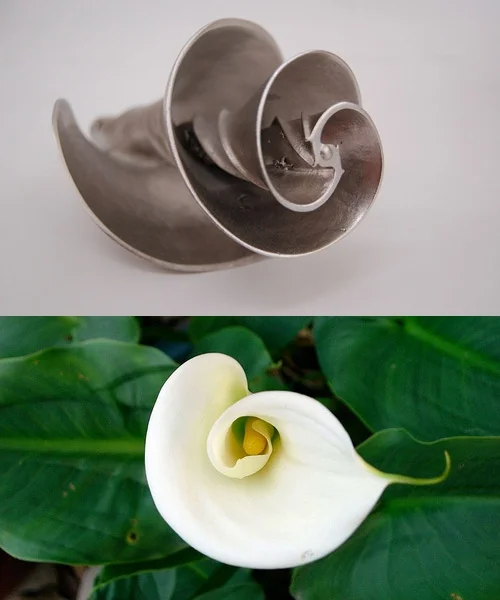 Pax Technologies took the calla lily's shape as inspiration for a water mixer. The flower's centripetal spirals assist with the ideal flow of liquid, which allows their design to mix more liquid with a fraction of the horse power usually required. Using nature's perfected designs helps minimize energy requirements. Image of impeller via PAX Scientific , all rights reserved; Image of calla lily via the equinest