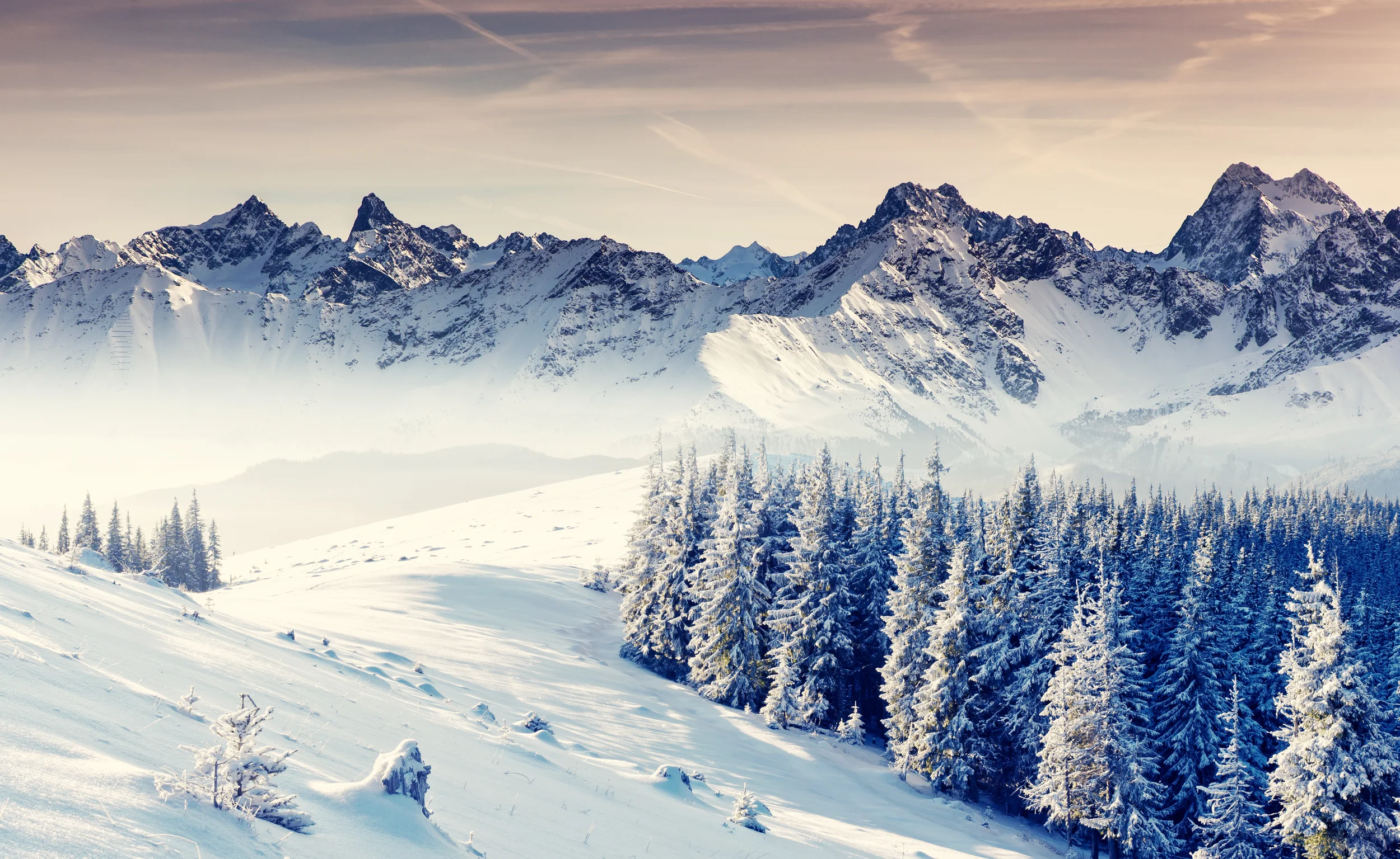 shutterstock_158593451.jpg