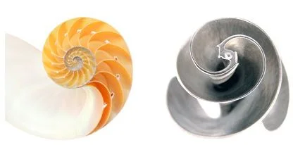 Pax Technologies took the calla lily's shape as inspiration for a water mixer. The flower's centripetal spirals assist with the ideal flow of liquid, which allows their design to mix more liquid with a fraction of the horse power usually required. Using nature's perfected designs helps minimize energy requirements. Image of impeller - PAX Scientific