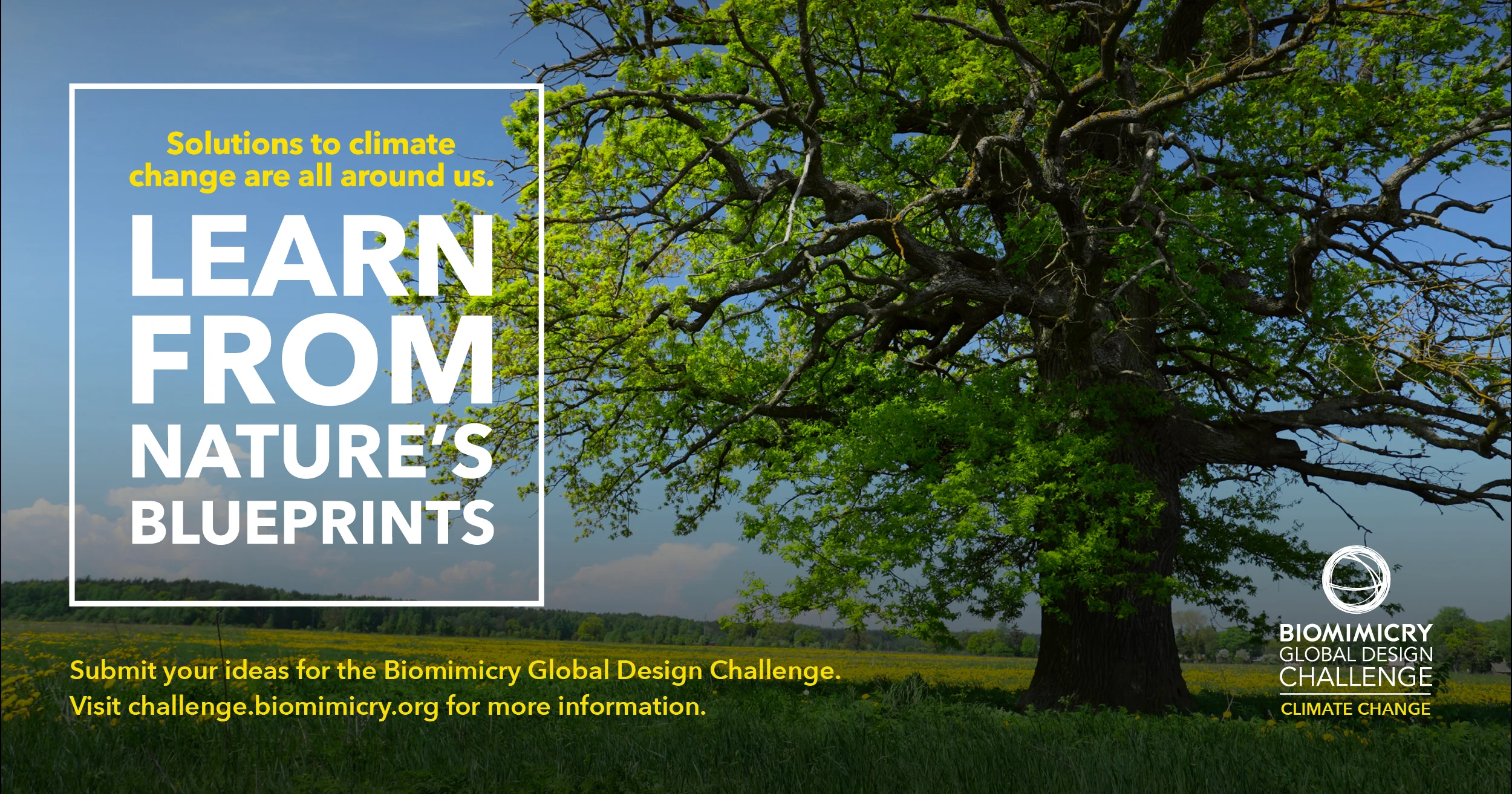 General BGDC Facebook Posts2.jpg