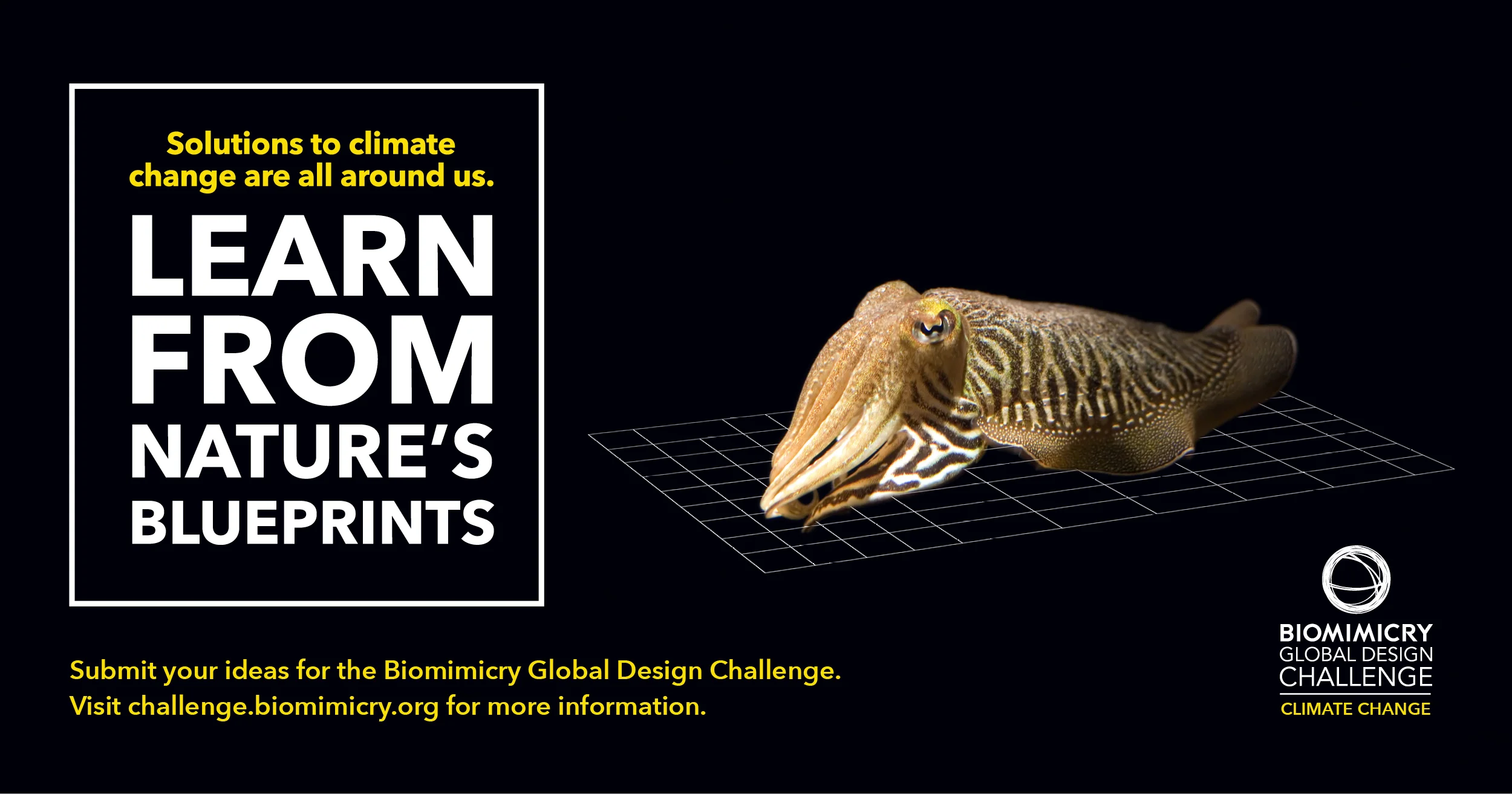 General BGDC Facebook Posts1.jpg