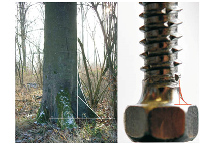 The nature of lightweight design