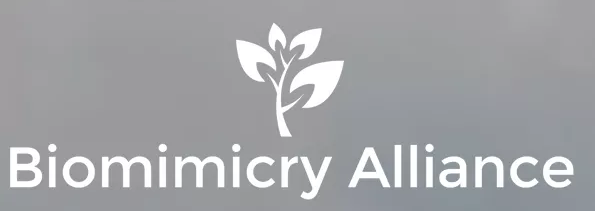 European-Biomimicry-Alliance.png