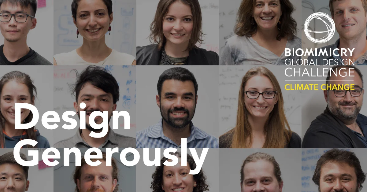 Biomimicry Global Design Challenge Finalists 2018