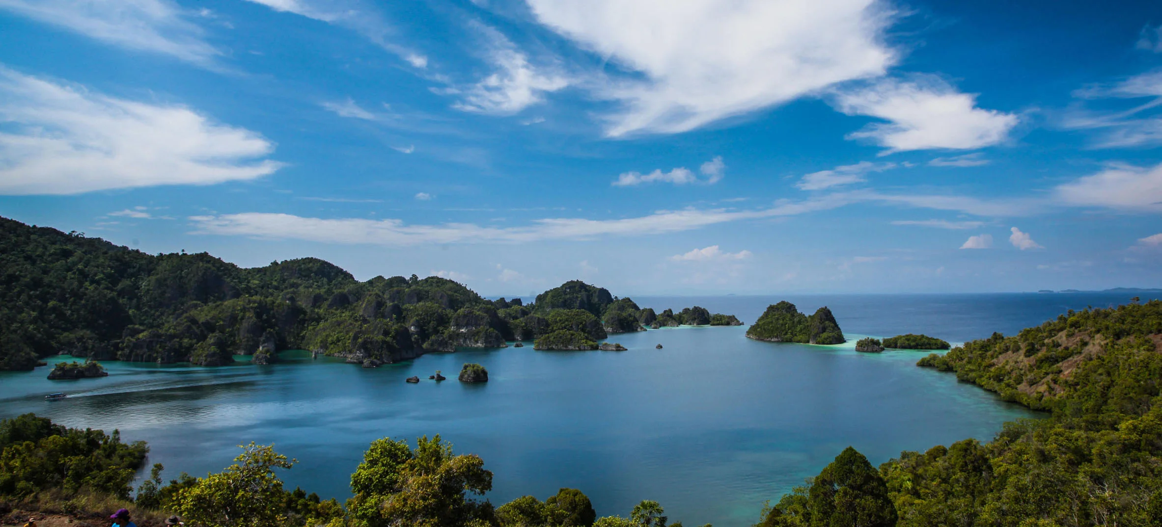 sea-sanctuaries-headerimage05a.jpg