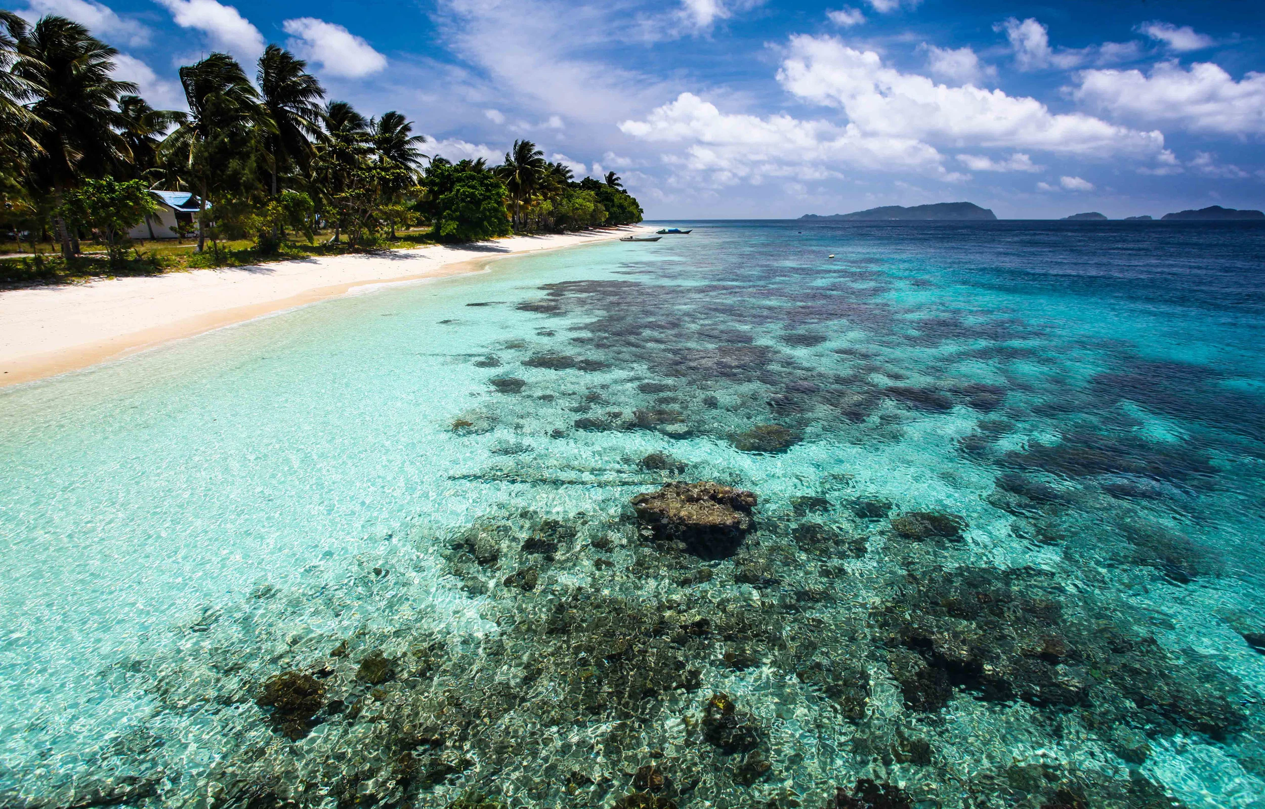 sea-sanctuaries-headerimage01.jpg