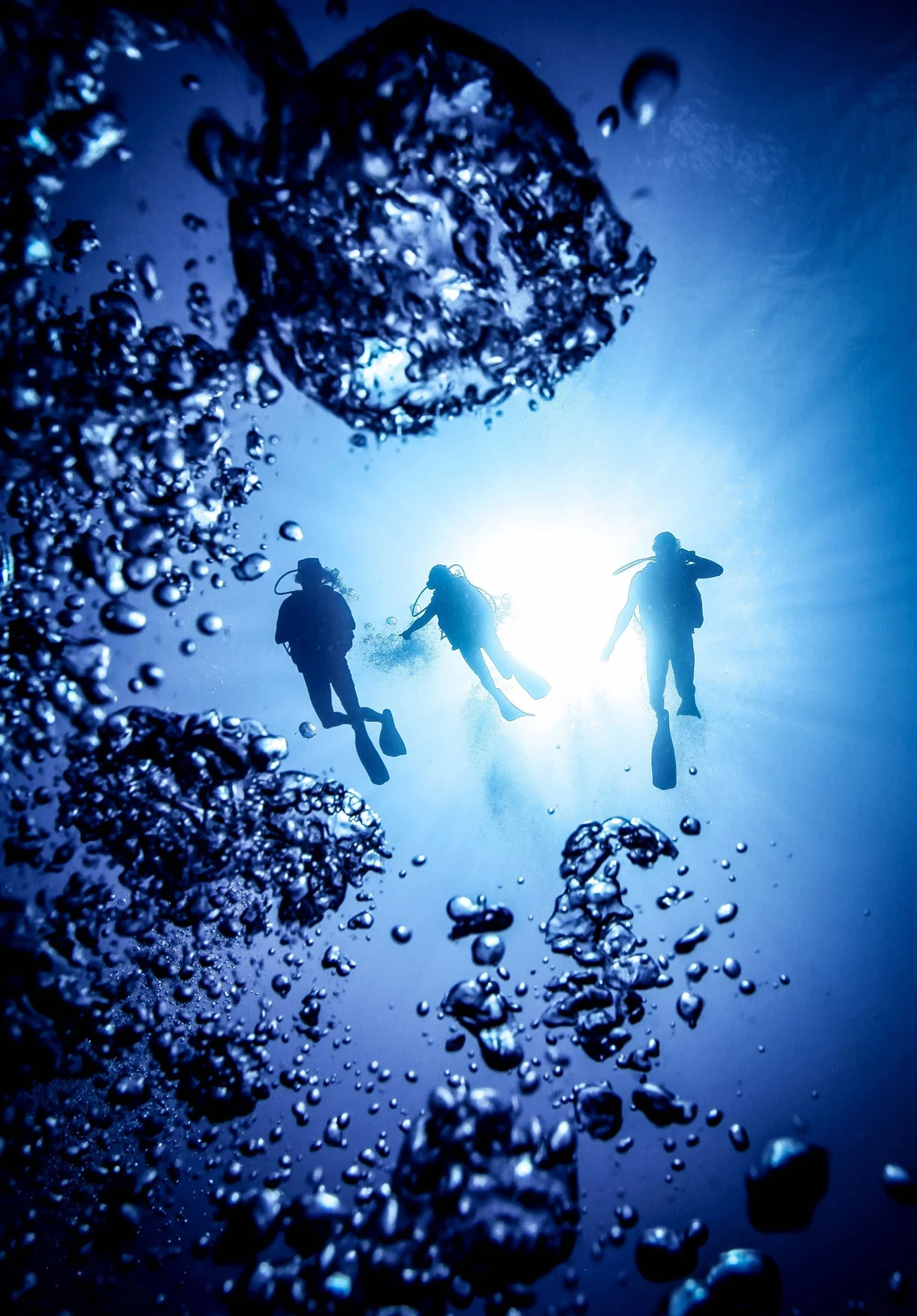 Sea_Sanctuaries_Home02.jpg