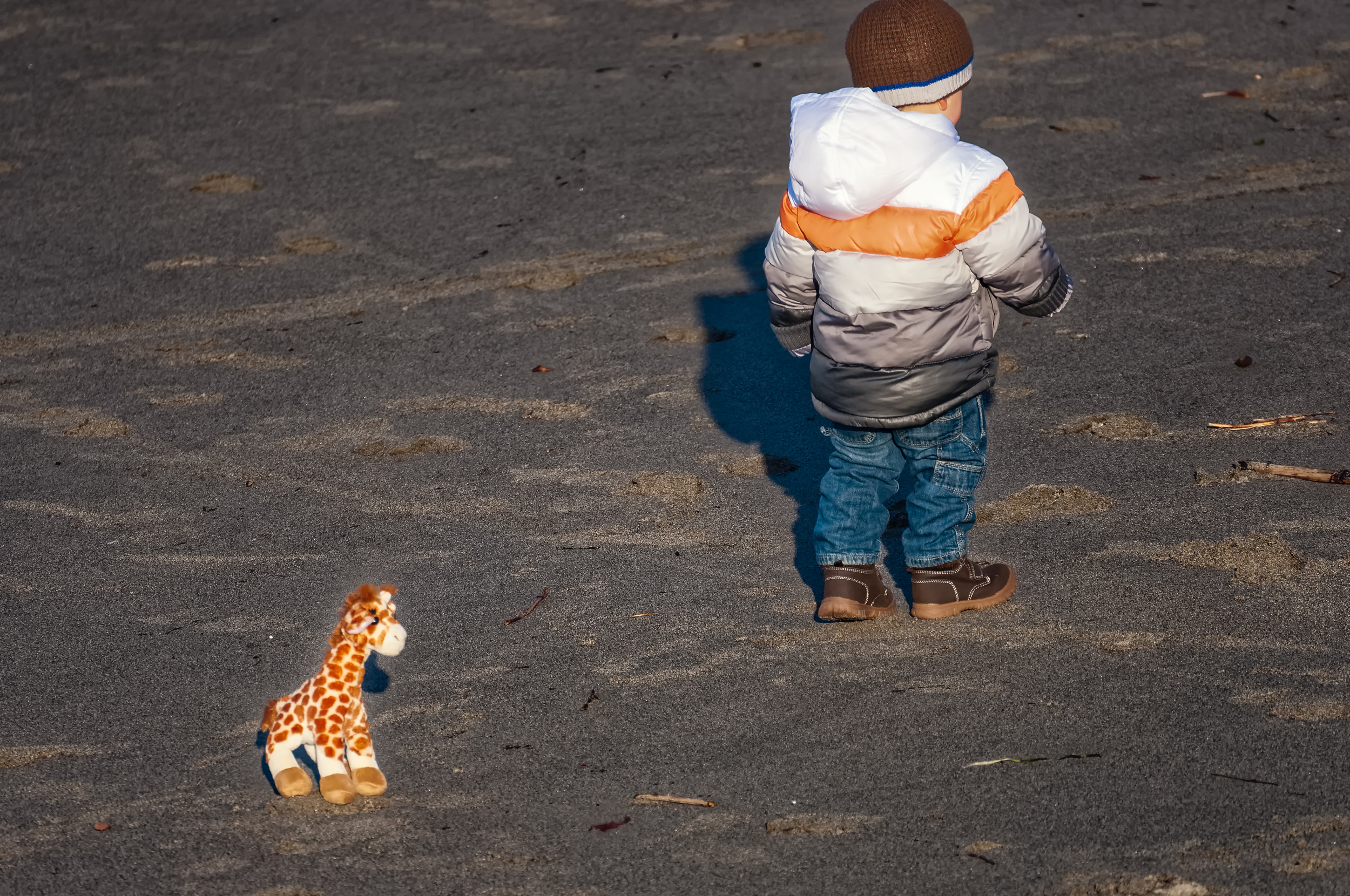 A Boy and His Giraffe