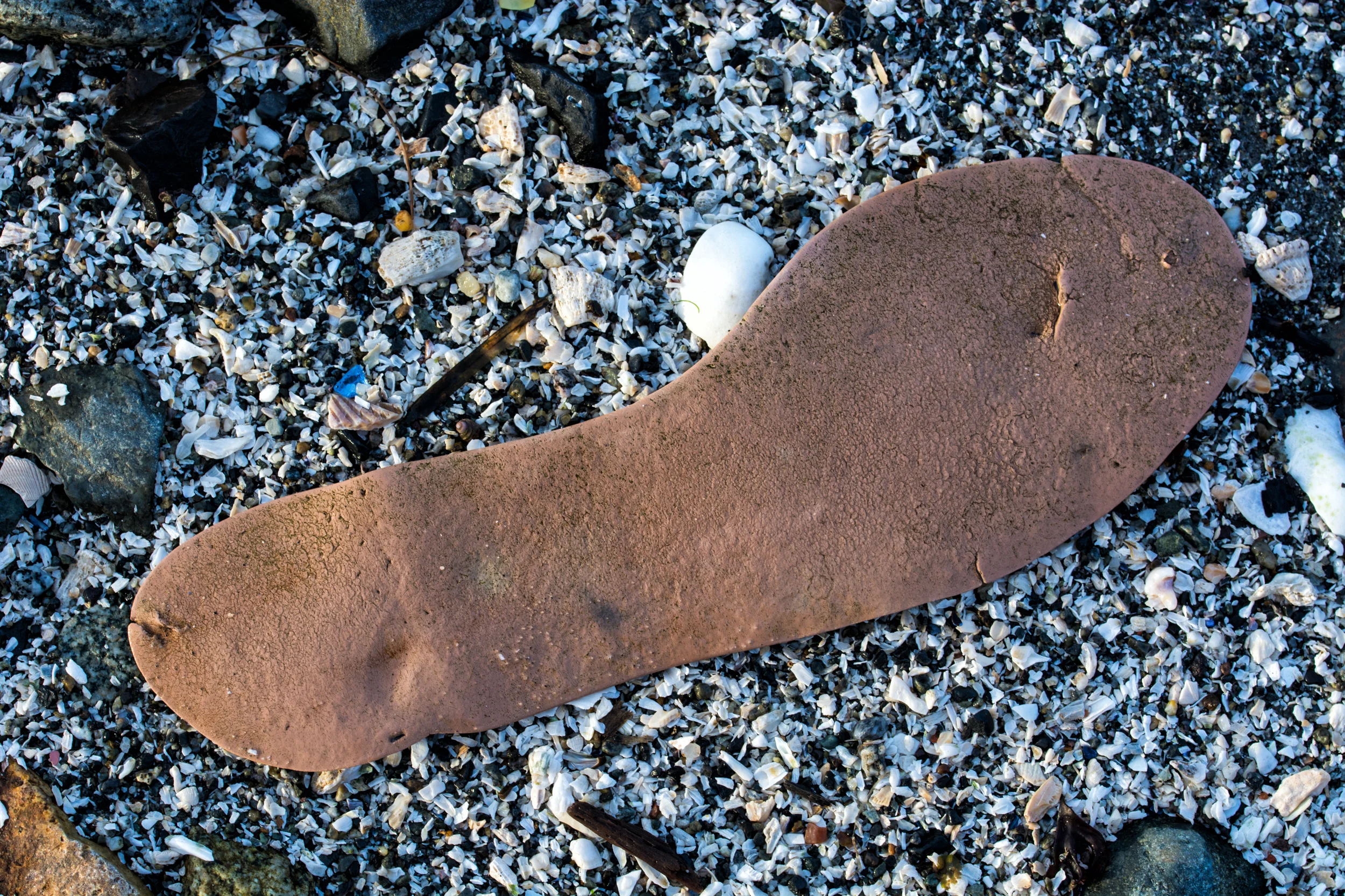 The Unintentional Footprint