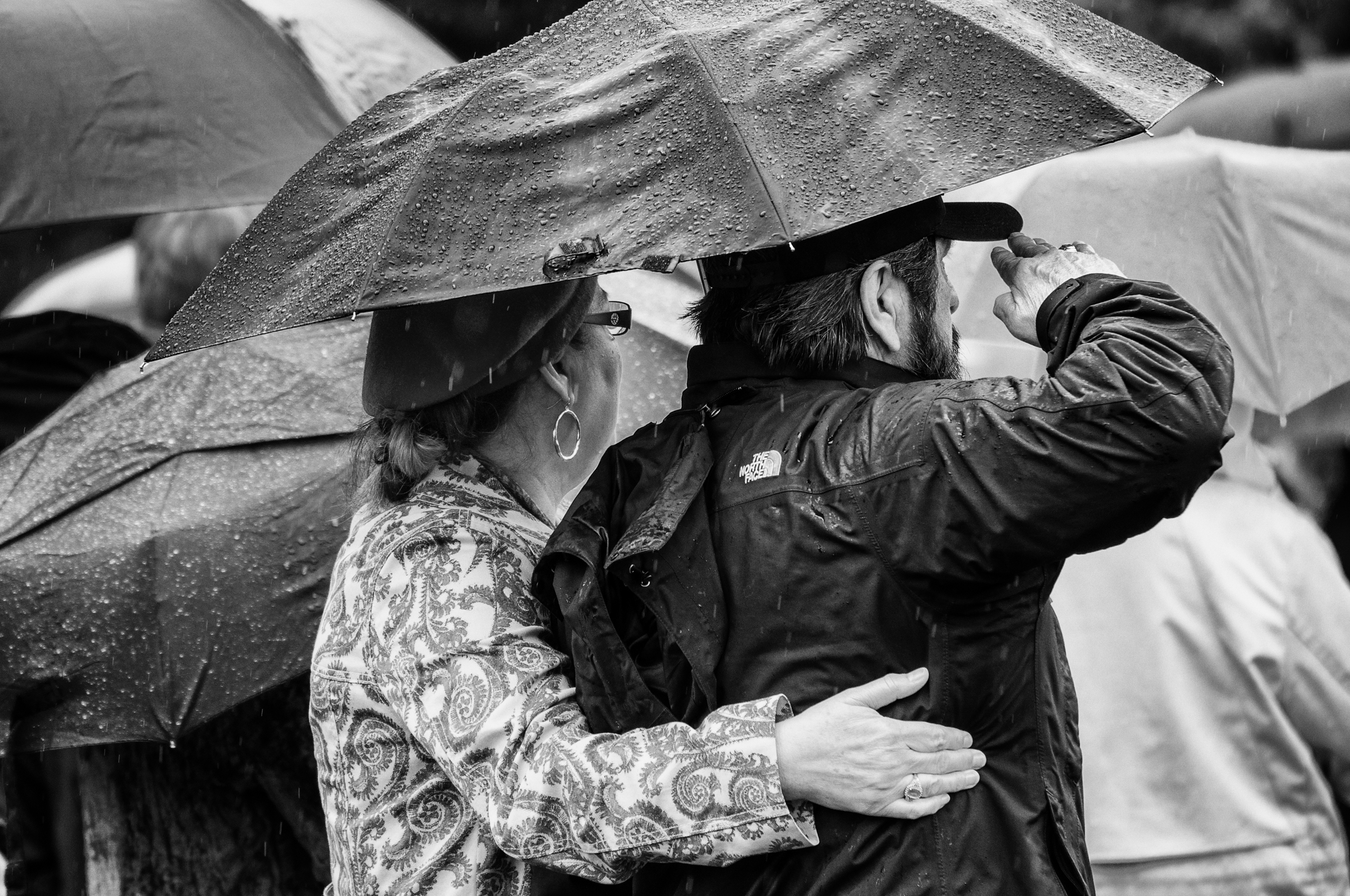 The Last Salute.jpg