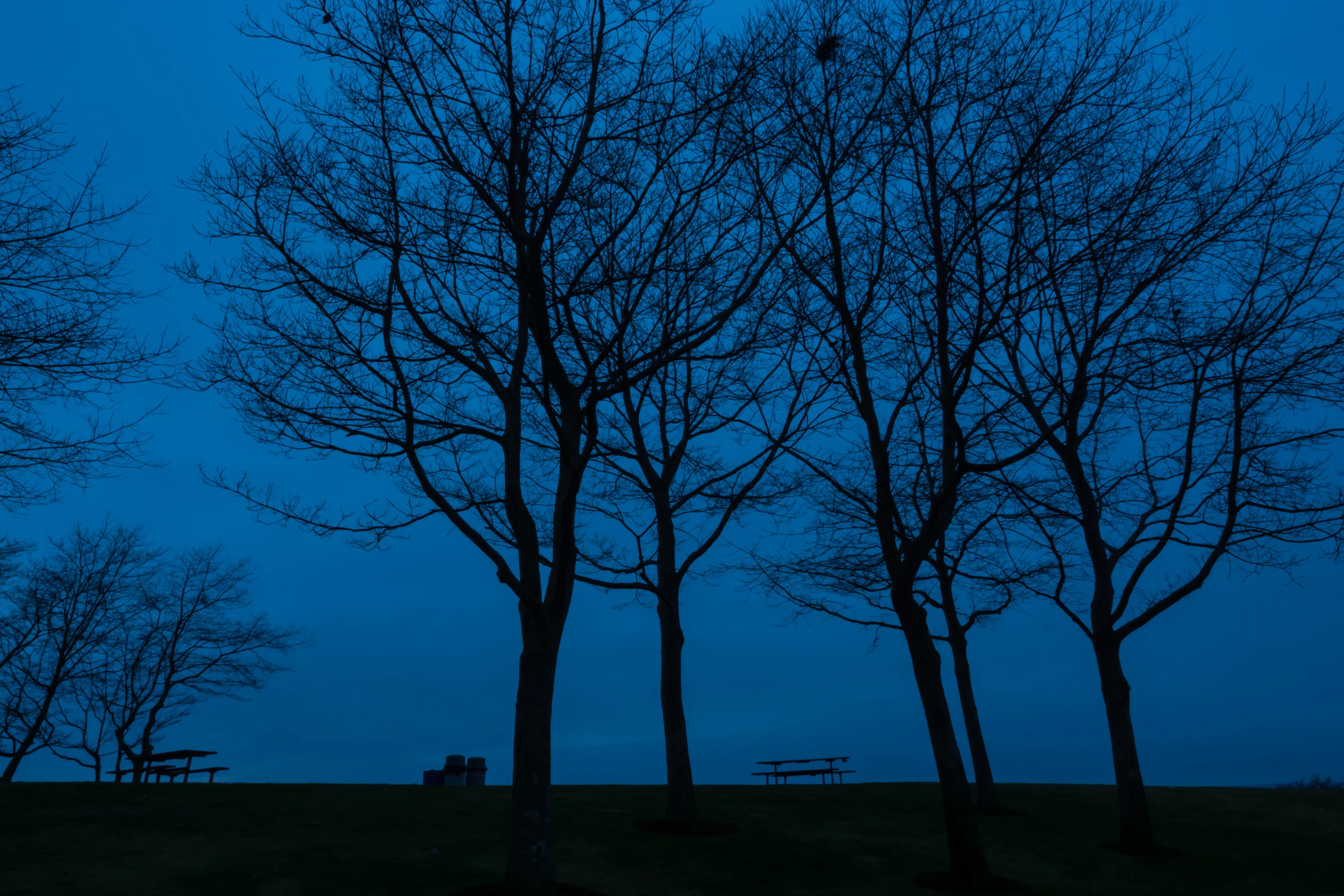 Winter Nightfall at Marina Beach Park
