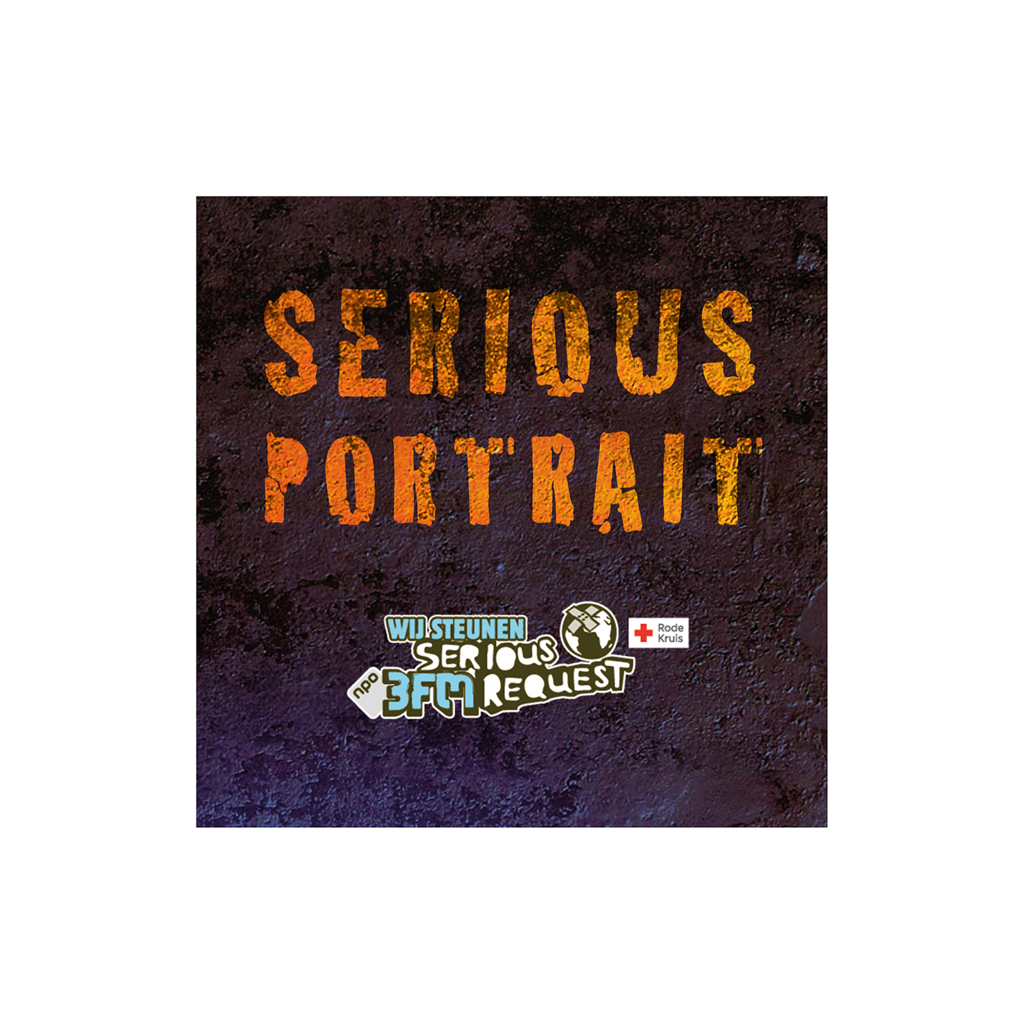 de-beeldmarketeers-serious-portrait-logo-voor-serious-request-2014_2.jpg