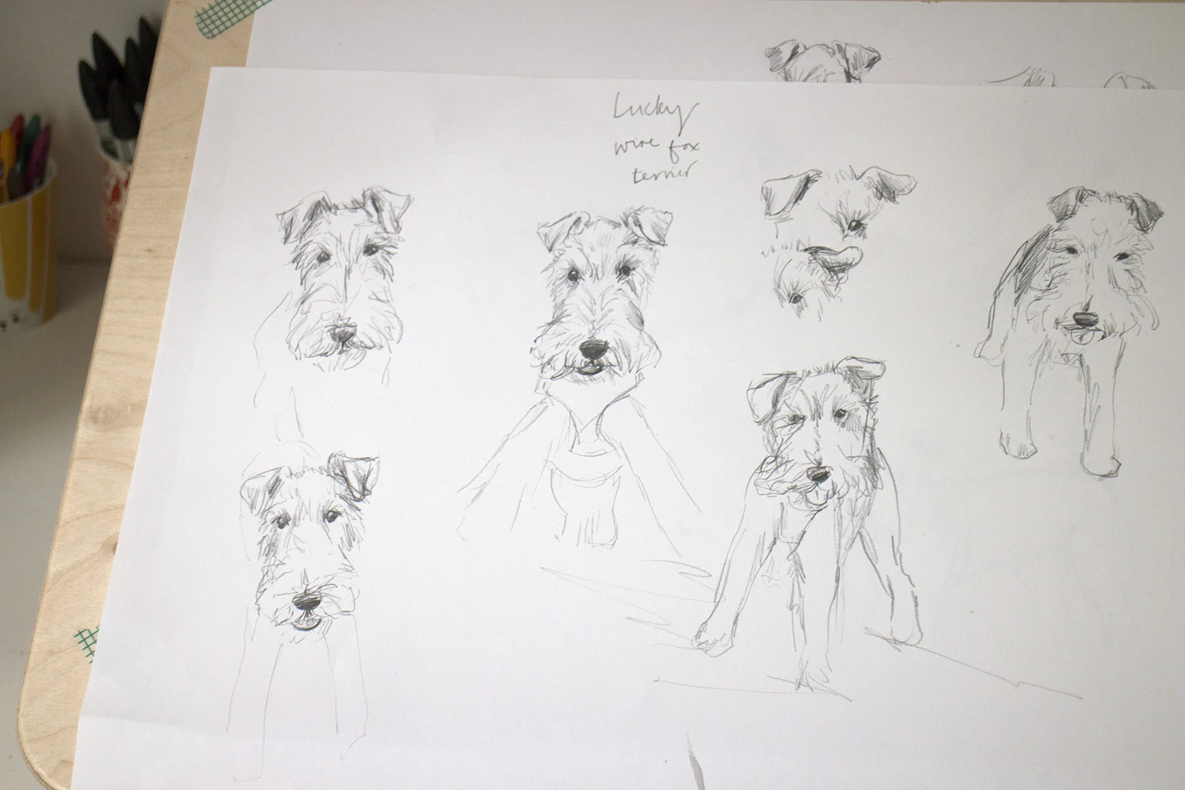 pet portrait sketches.jpg