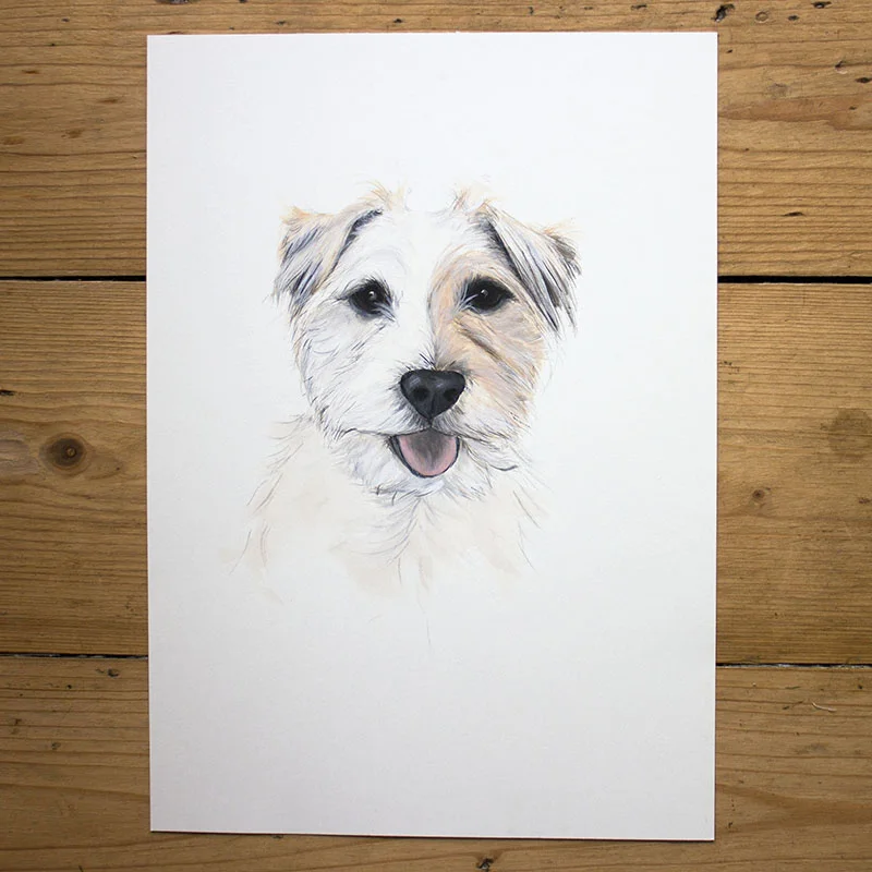 This is Molly, an 11-year-old Jack Russell who is always wagging her tail. 