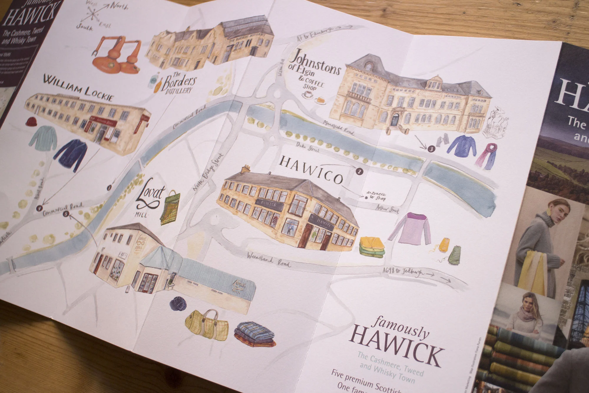 leaflet illustrations 4.jpg