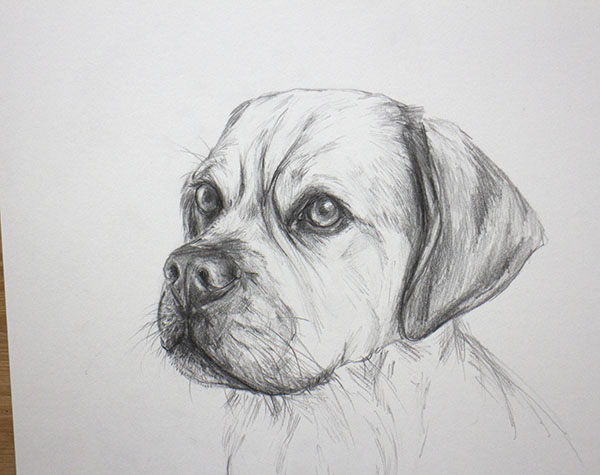 Baxter.
