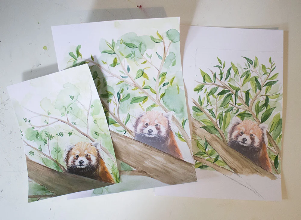 Red panda progress.jpg