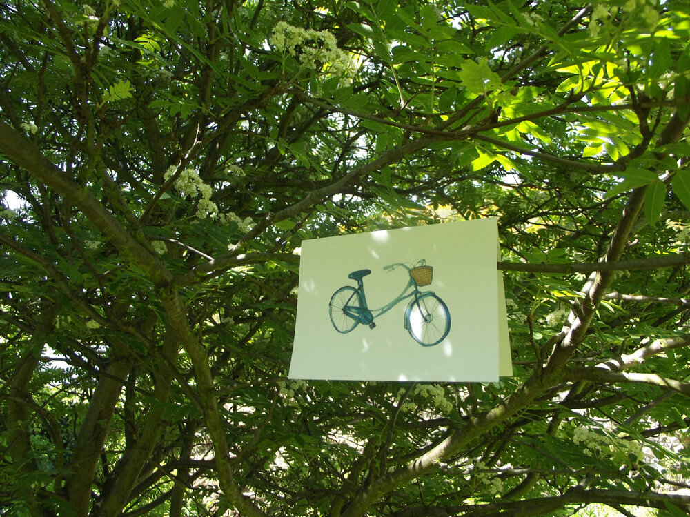 blue bike tree.jpg