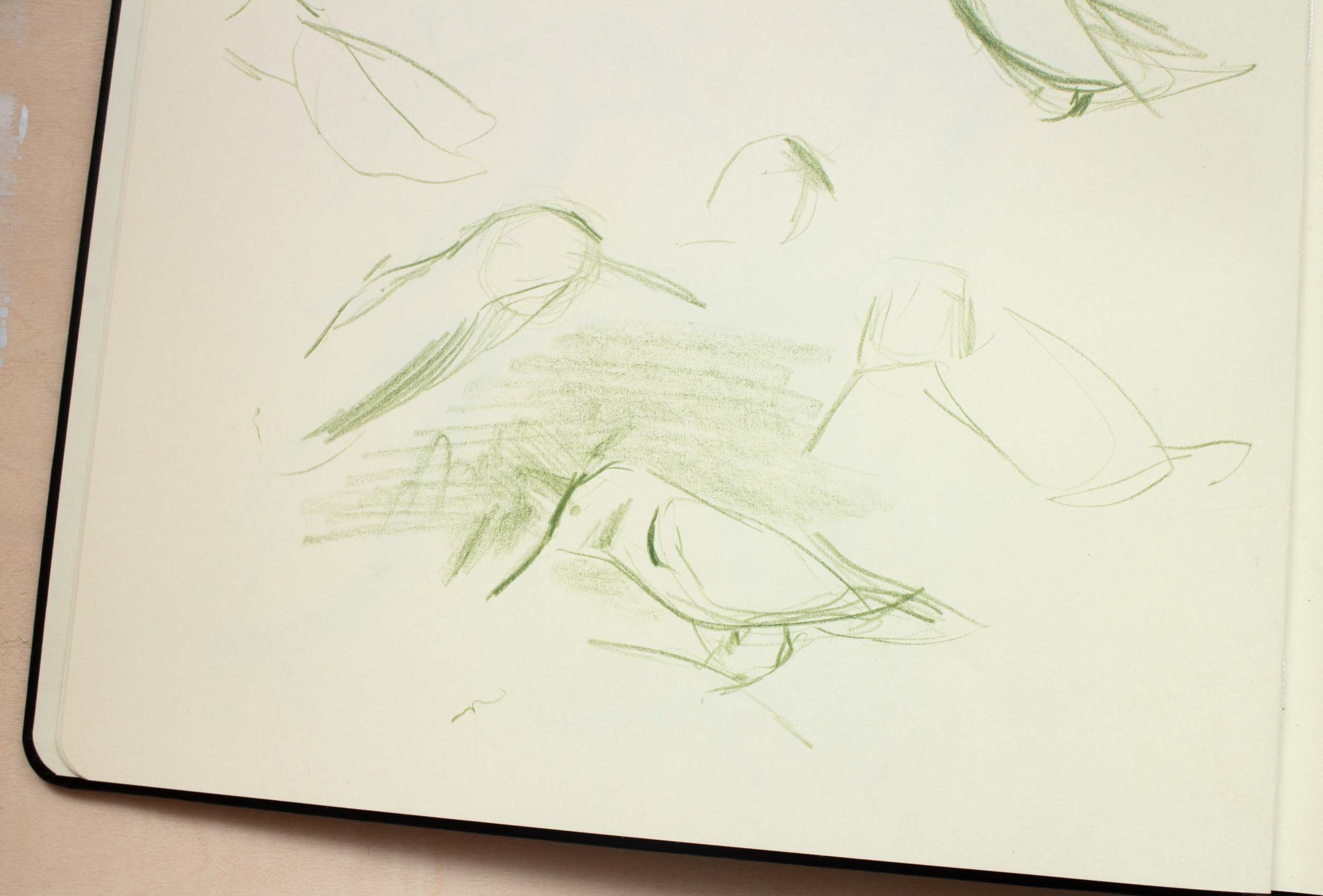 hummingbird sketch.jpg