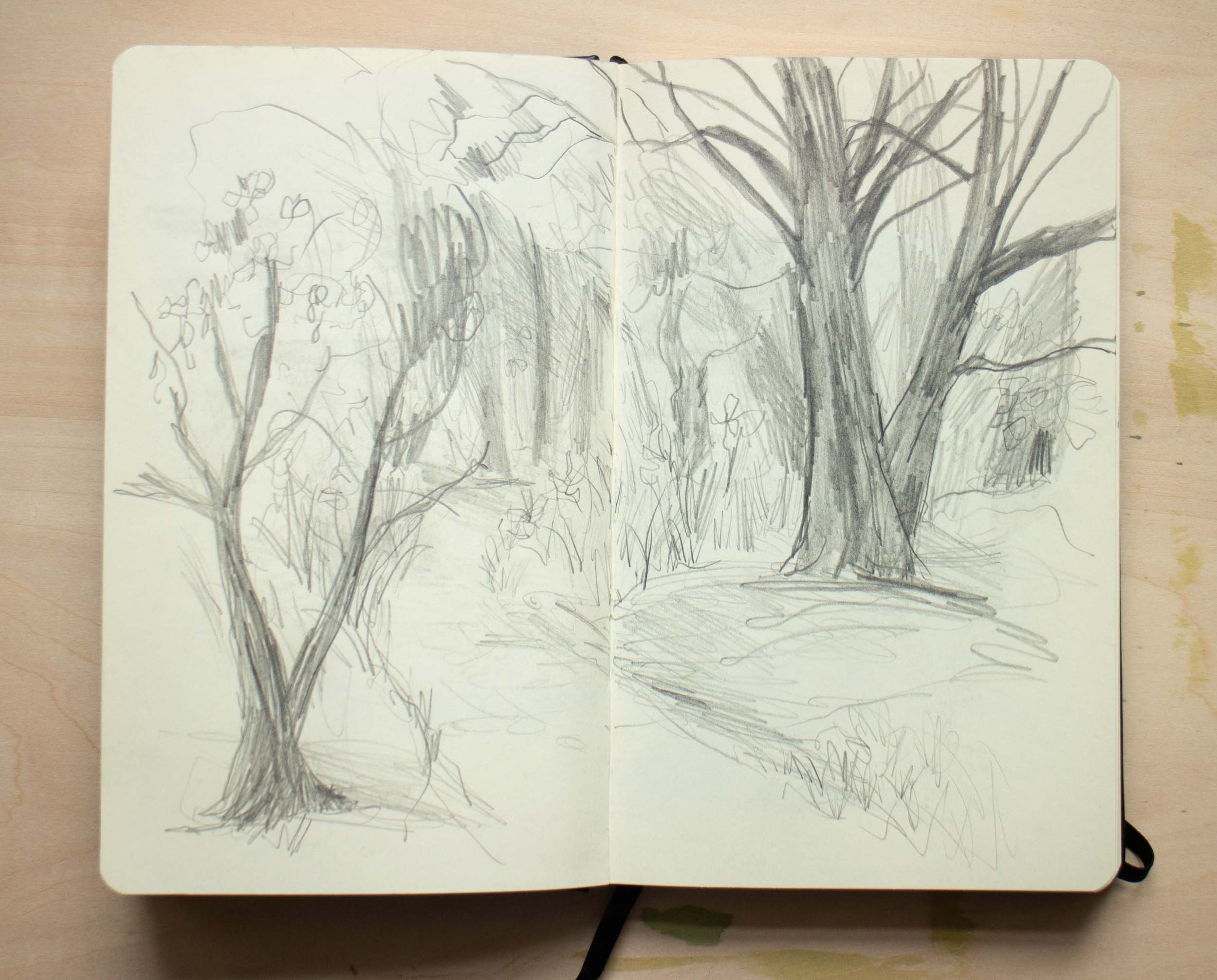 location sketchbook park.jpg