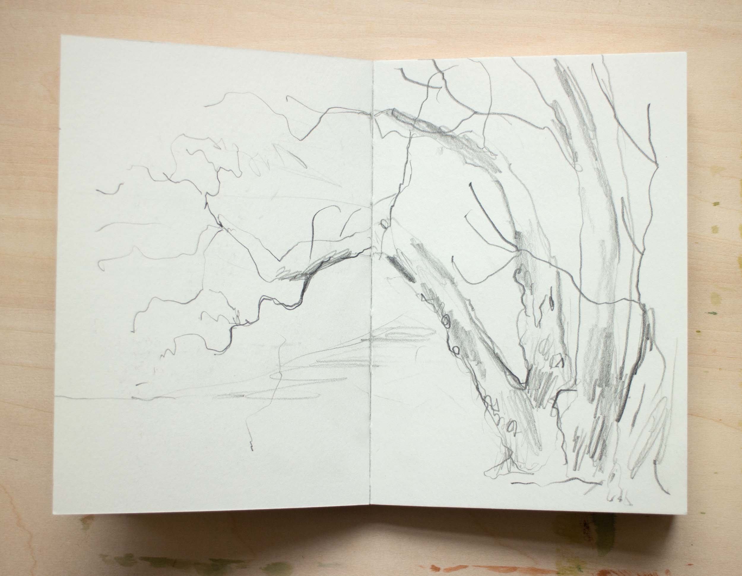 location sketchbook trees 2.jpg