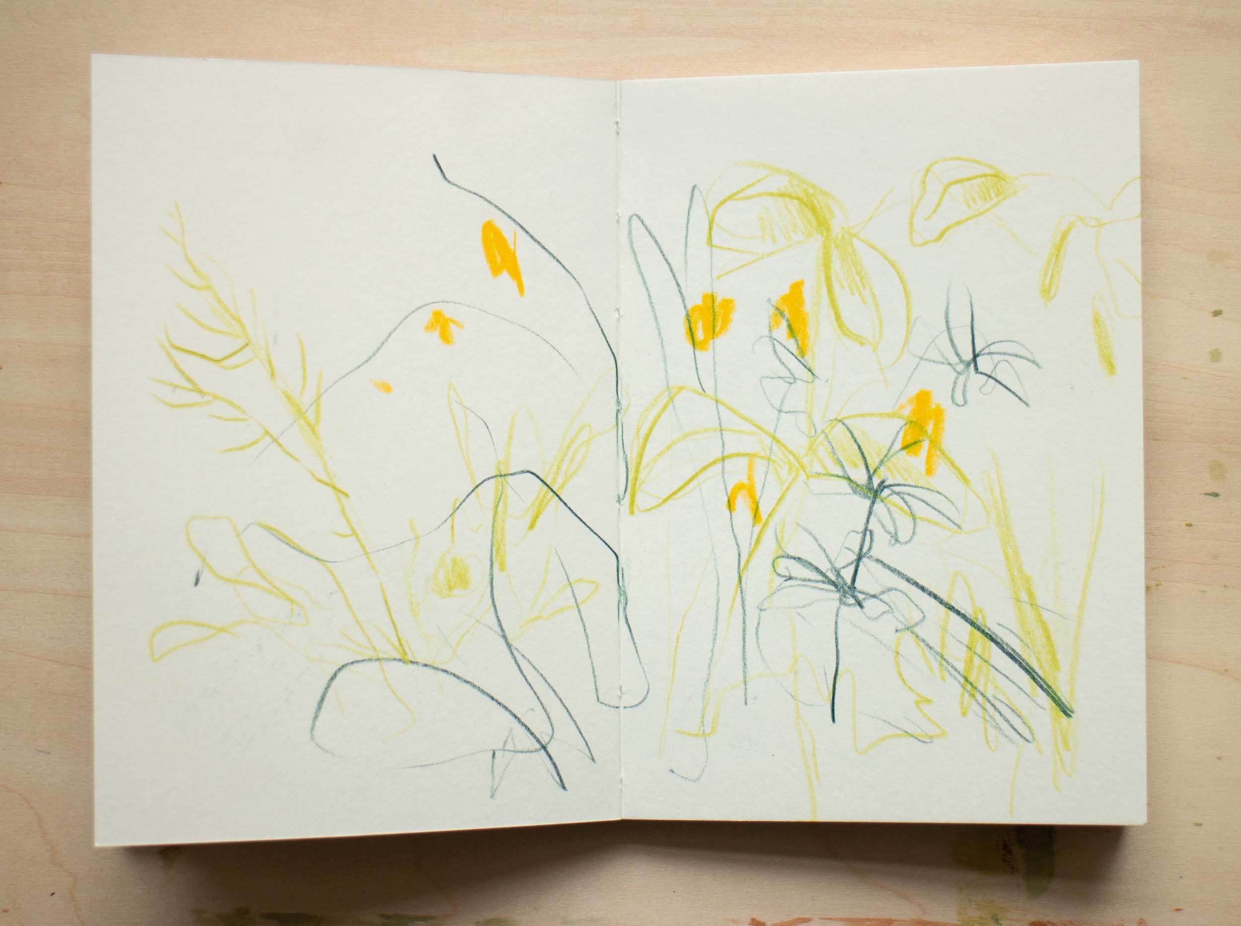 location sketchbook garden.jpg