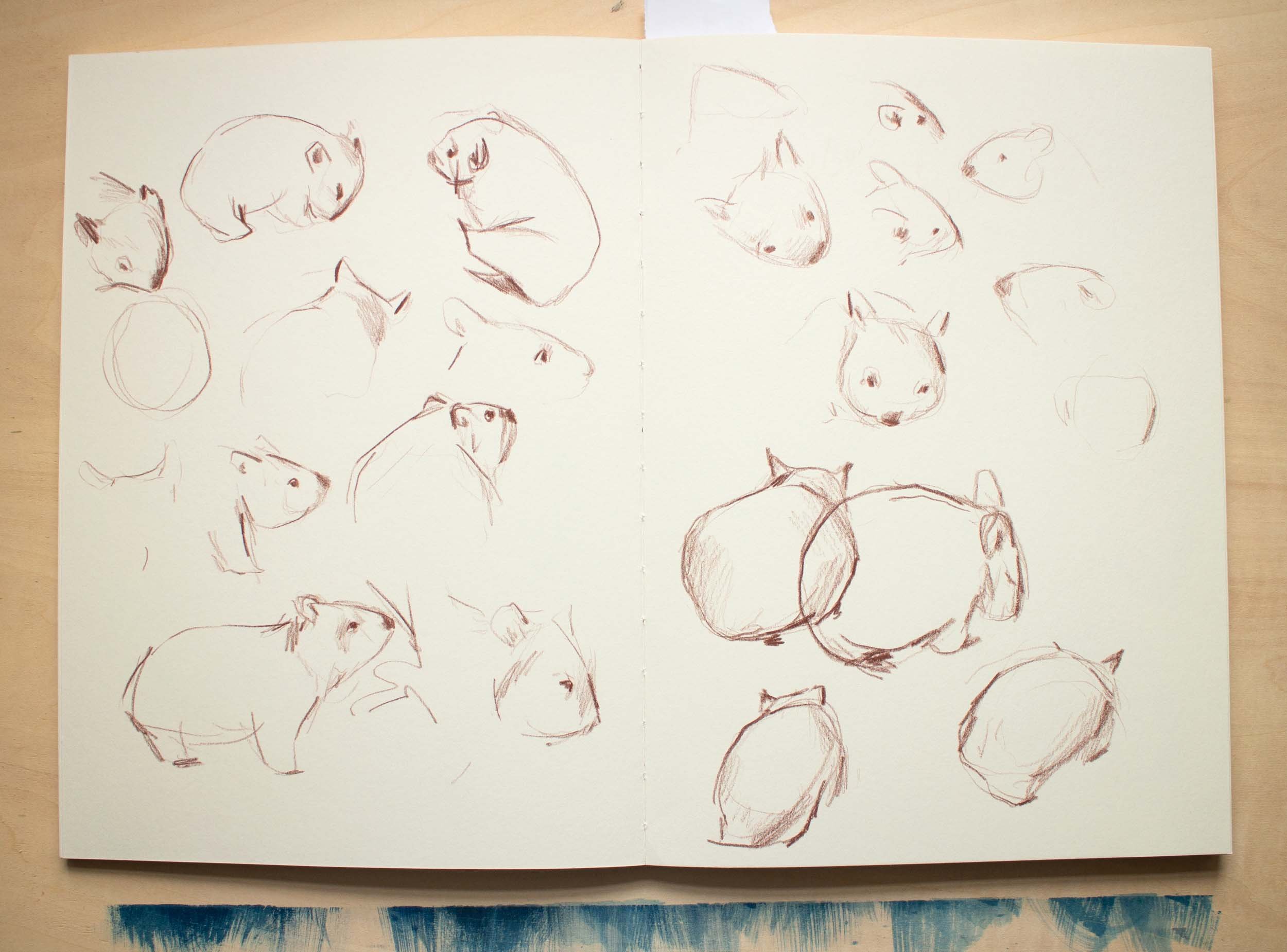 wombat sketchbook.jpg