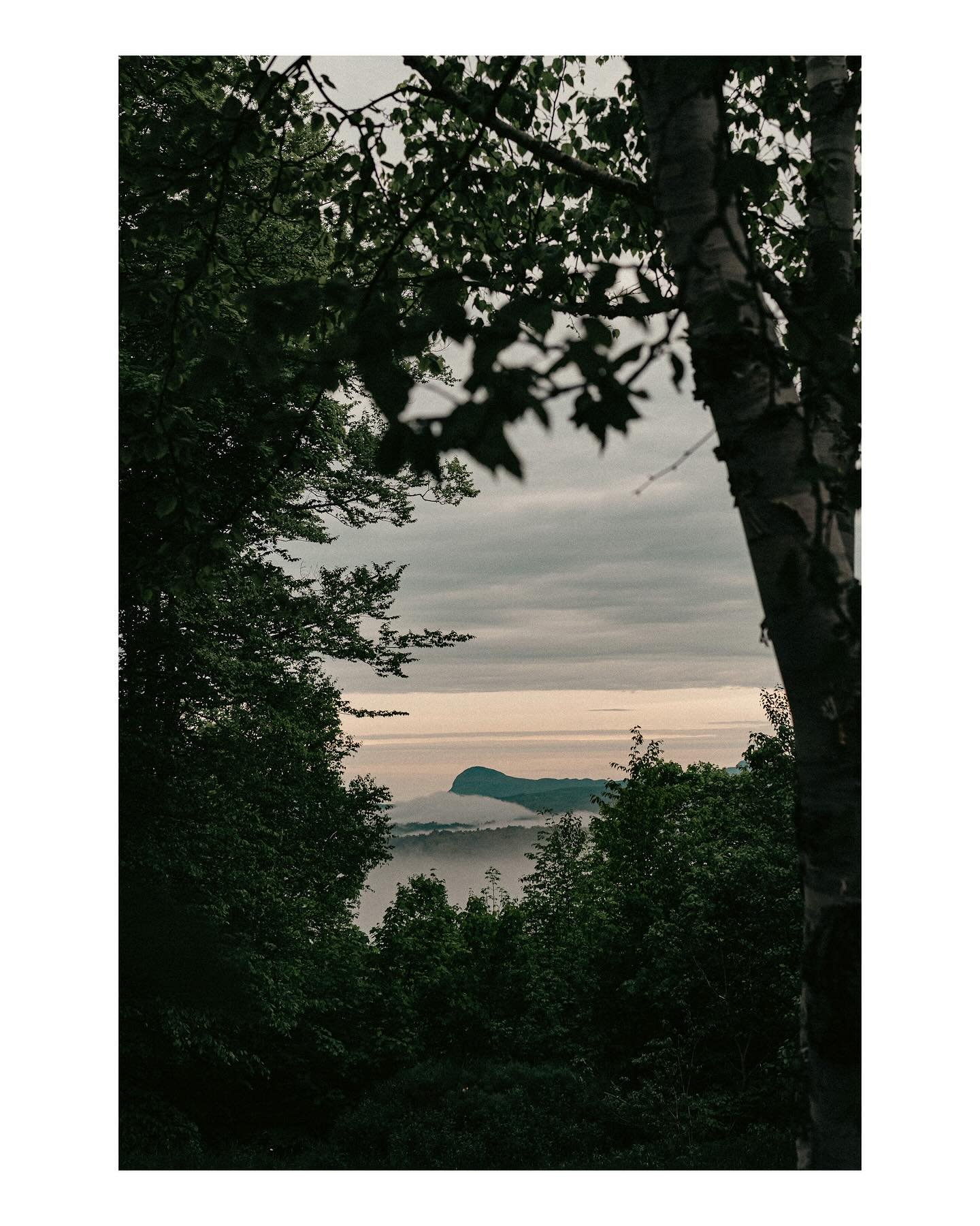 I think that what I&rsquo;m trying to say is there&rsquo;s a weariness that coats our best intentions&mdash;a layer of mistrust that began with school shootings and planes collapsing buildings. And that as we start to wrinkle around the eyes, the fam