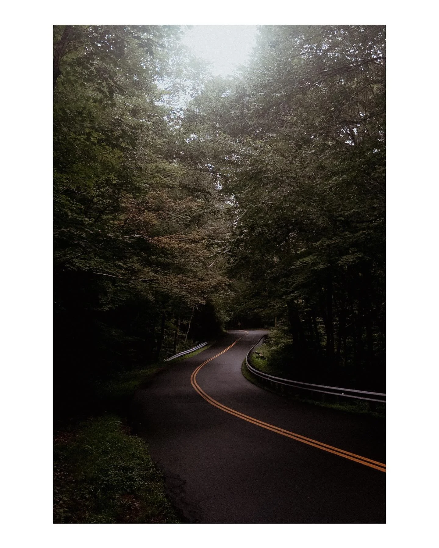 I’ve been quietly stepping back from social media, which is a big no-no as a photographer. We’re supposed to leverage these visual platforms to showcase our work but I’m tired of the circus—the chaotic flea-market environment