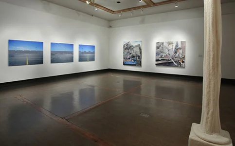 Some Kind of Wonderful, 4th KWAG Biennial curated by Nancy Campbell. July 15 - September 11, 2009. Kitchener-Waterloo Art Gallery, Kitchener, Canada. Photo by Robert McNair. PDF Catalolgue here