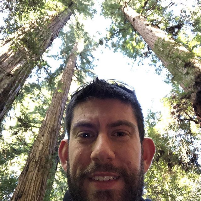 Do these trees make my ears look big?