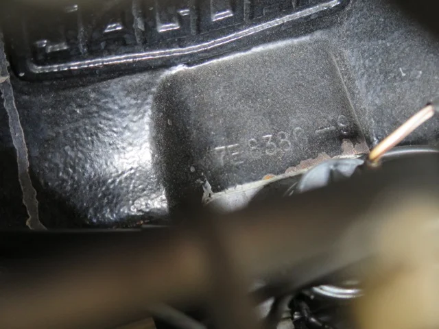 IMG_0604.jpeg