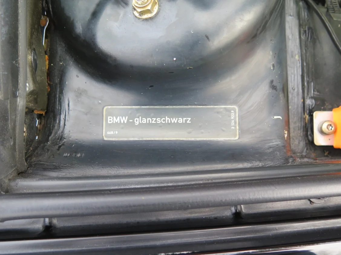 IMG_3184.jpeg