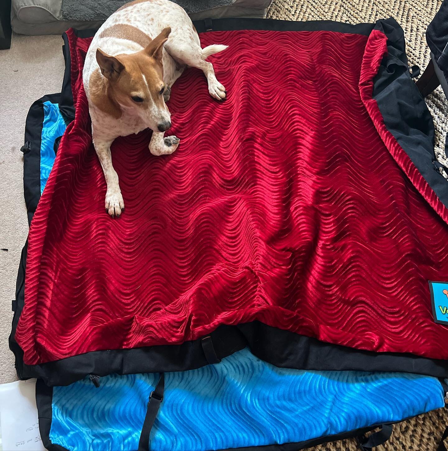 @boltgrl66 has been repairing some vintage VooDoo crash pads lately and it&rsquo;s been so much fun to see the final results. Here are two pads from @eric_odenthal one is a 5000 and the other a 4000 from the Phoenix Bouldering comp days (ancient vood