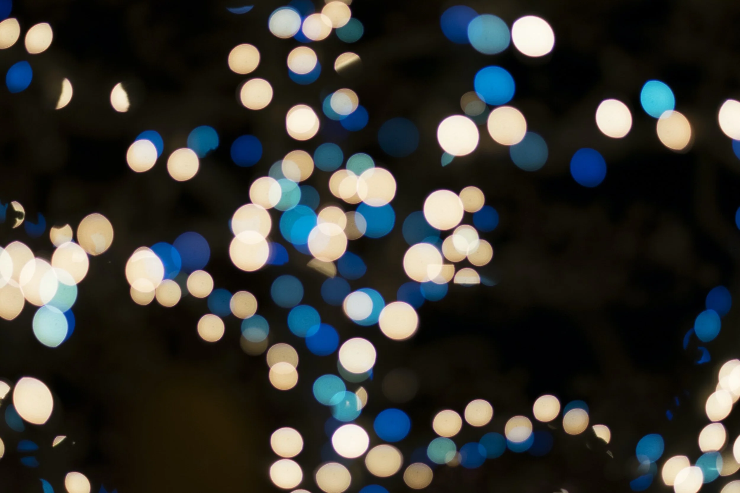 6 Years And Over 500 Clients Served - Thank You!