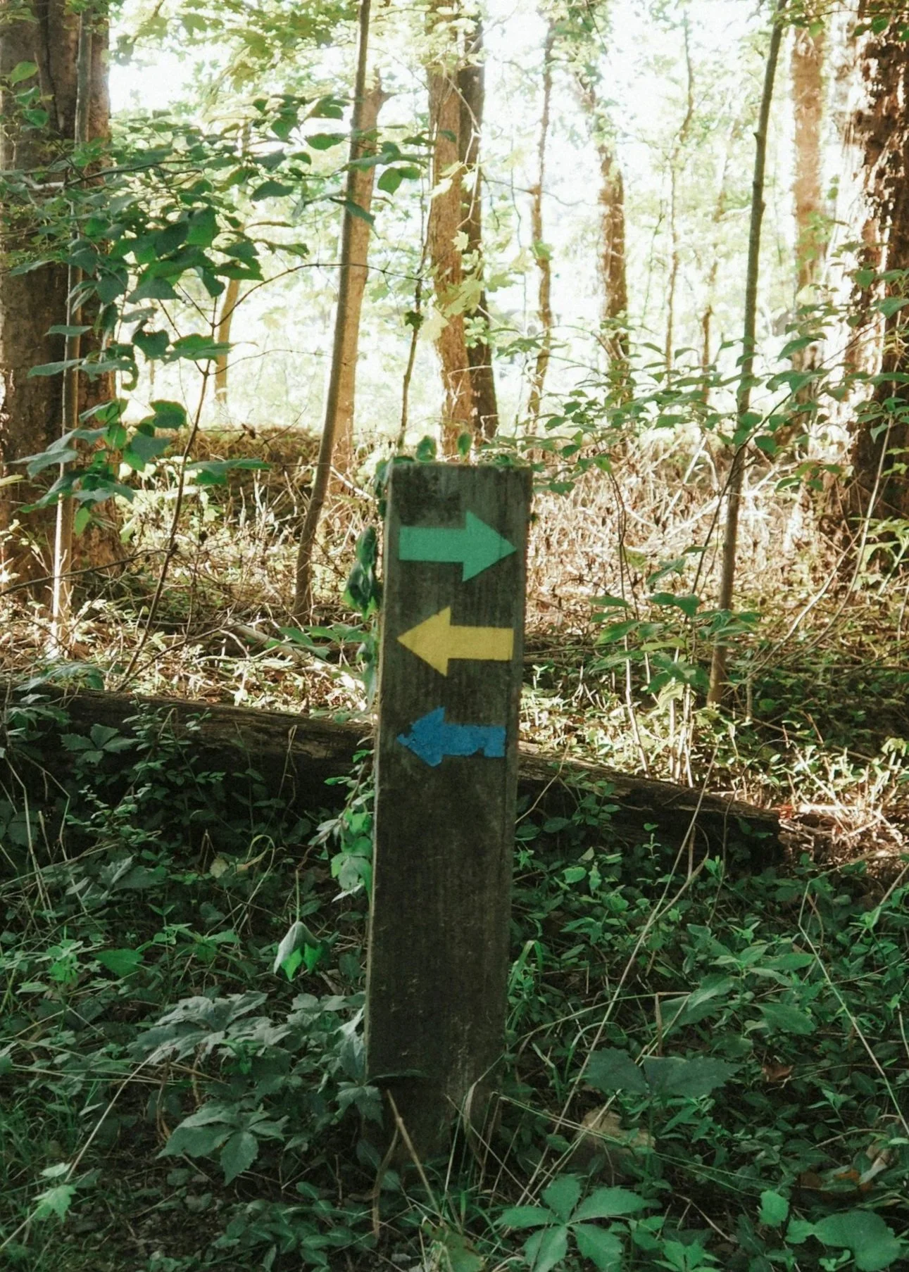 4 Estate Planning Myths