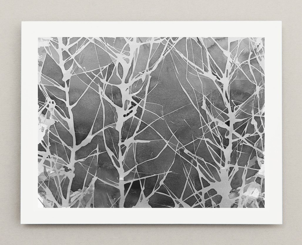 Briar Grey | prints available