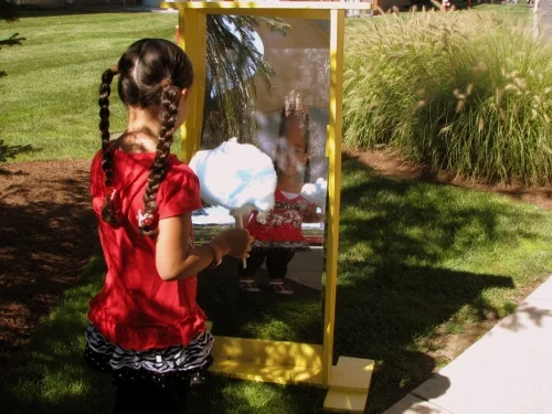 funmirror.jpg