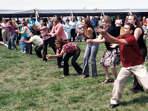 Picnic Activity Directors