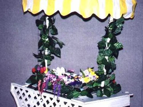 Flower Cart: Plastic lattice, wheels and umbrella. whatever you want to put inside- not included.
