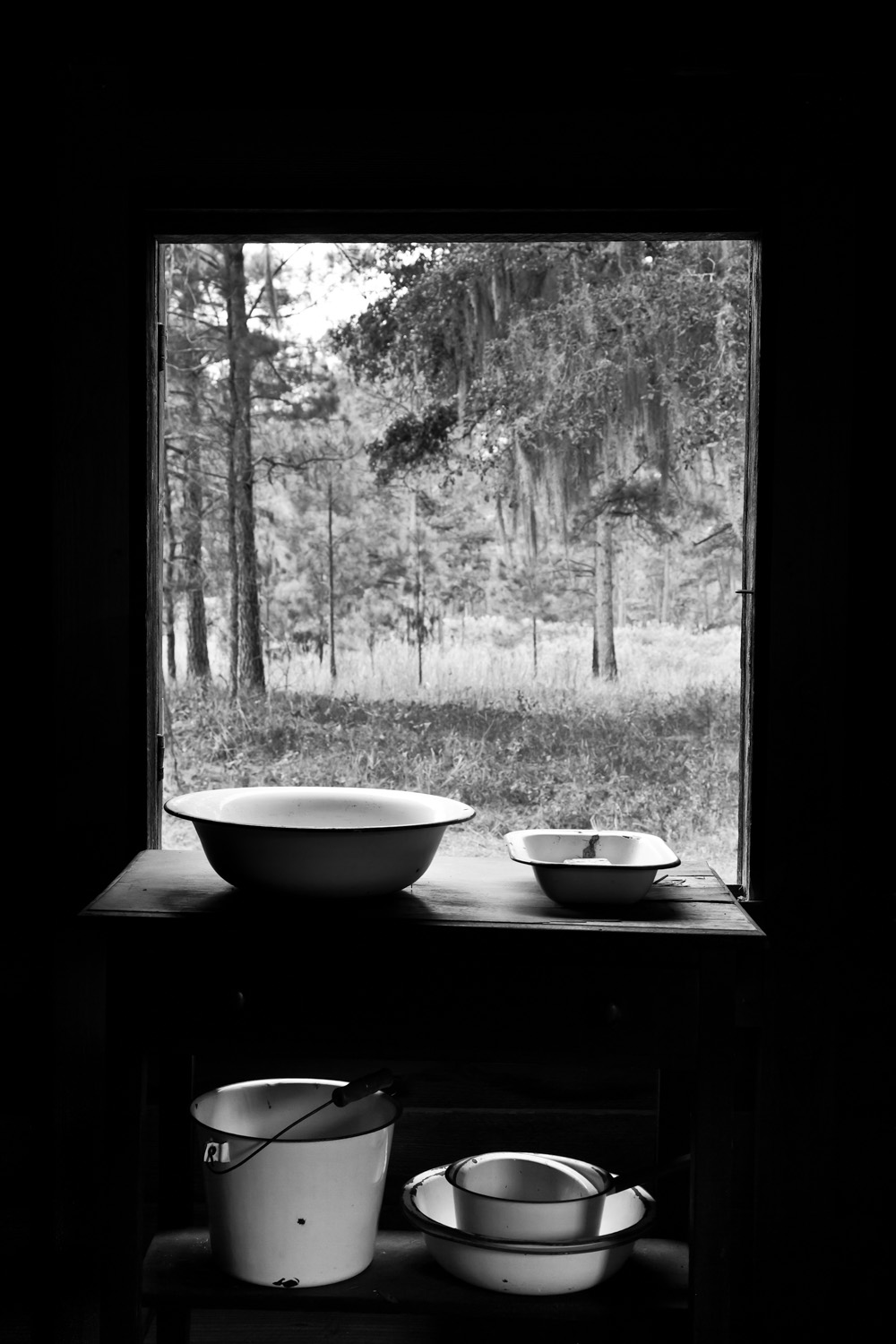 View From Kitchen Window, 2010