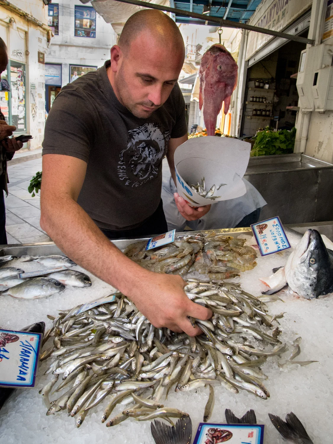 Fish Market
