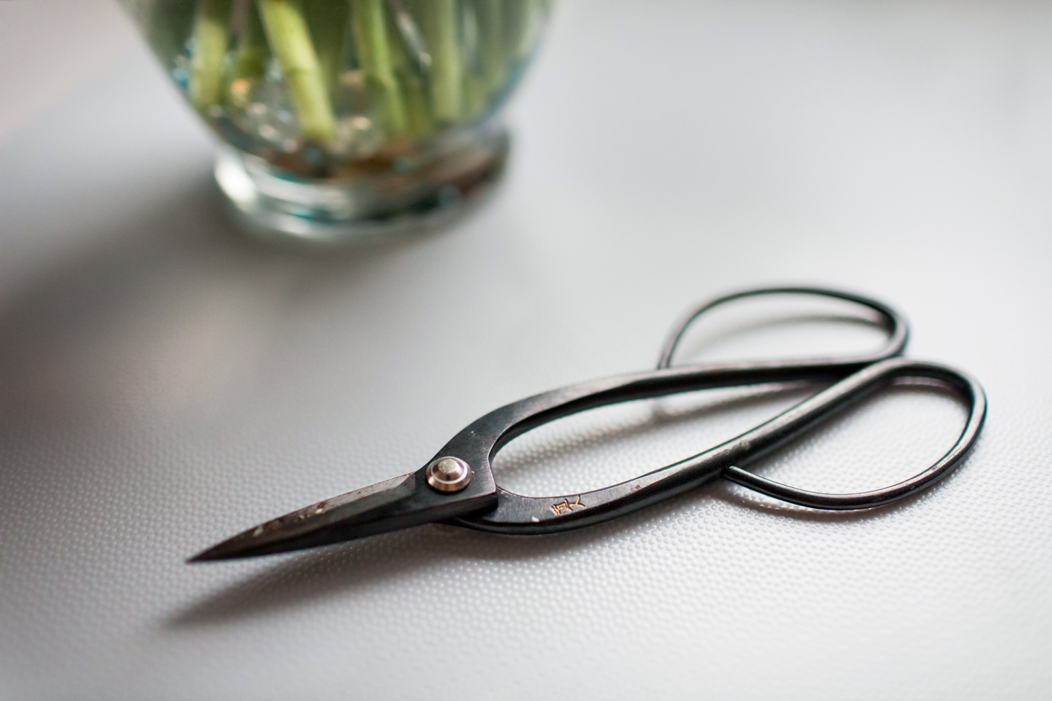 Pruning Shears