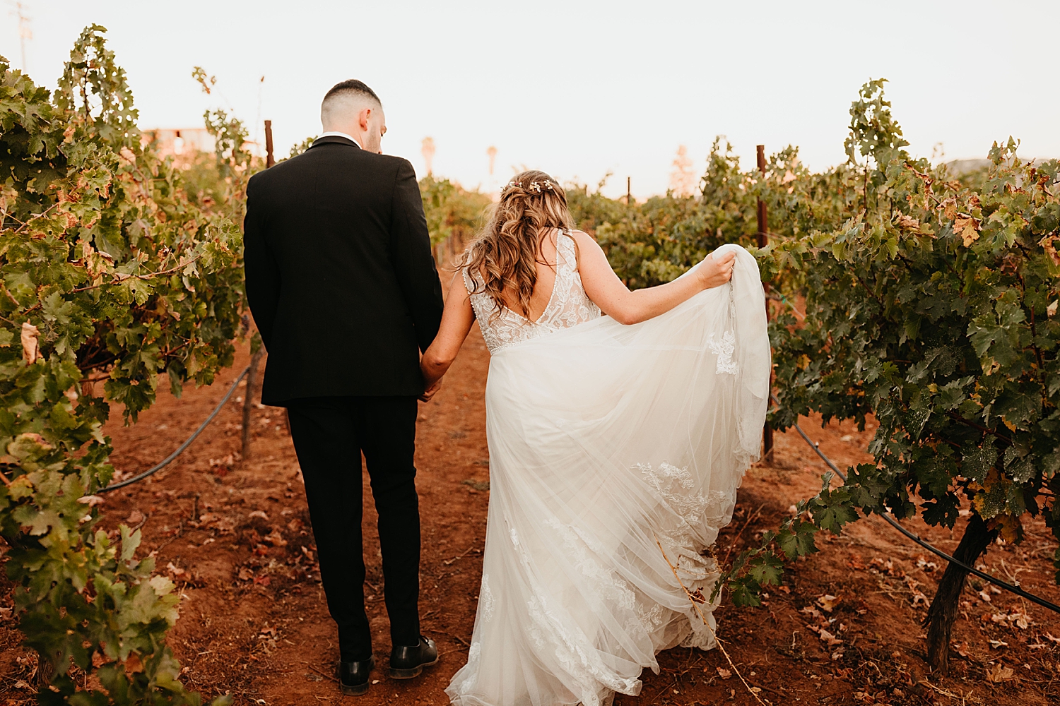 Cordiano-Winery-Wedding-83.jpg