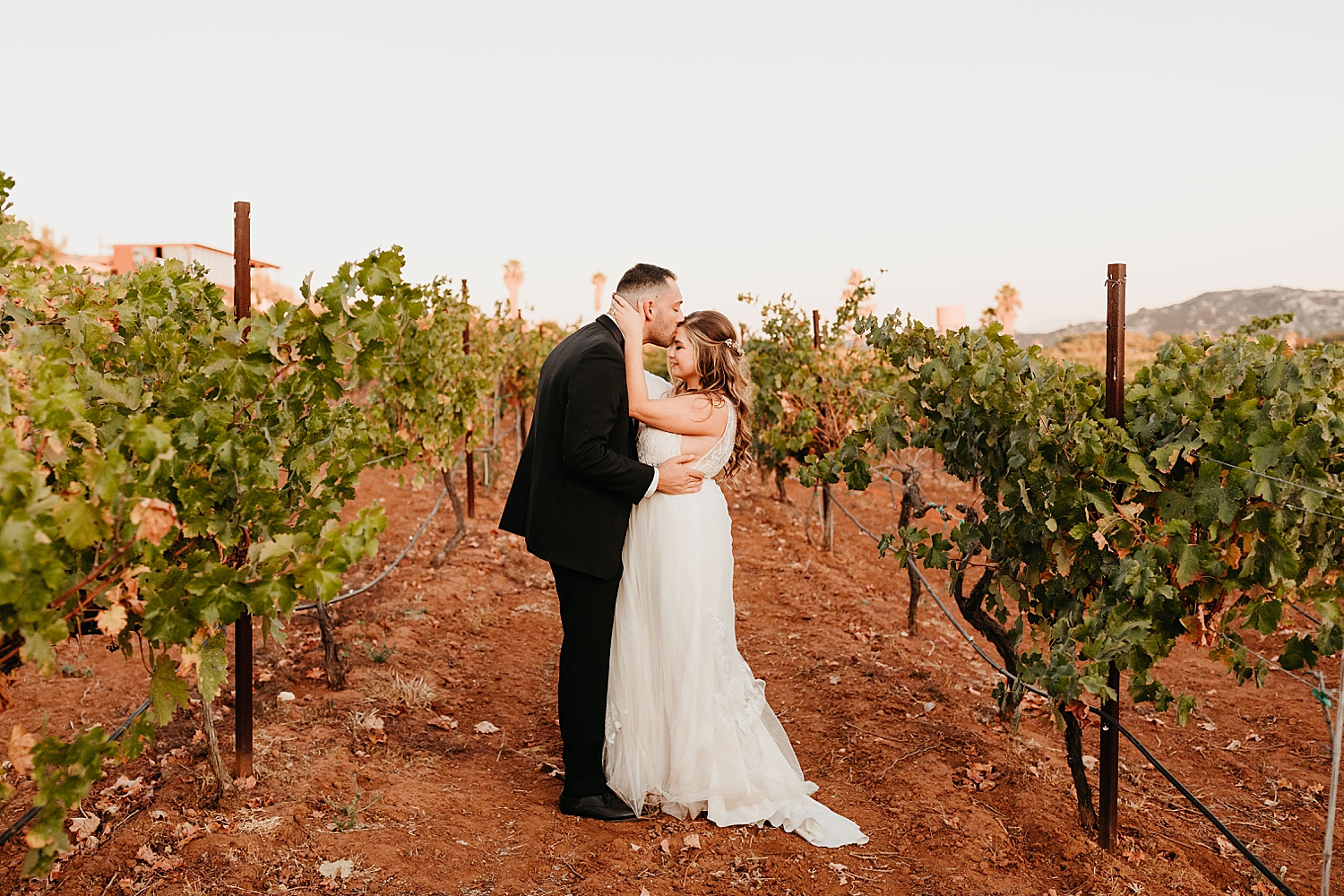 Cordiano-Winery-Wedding-84.jpg