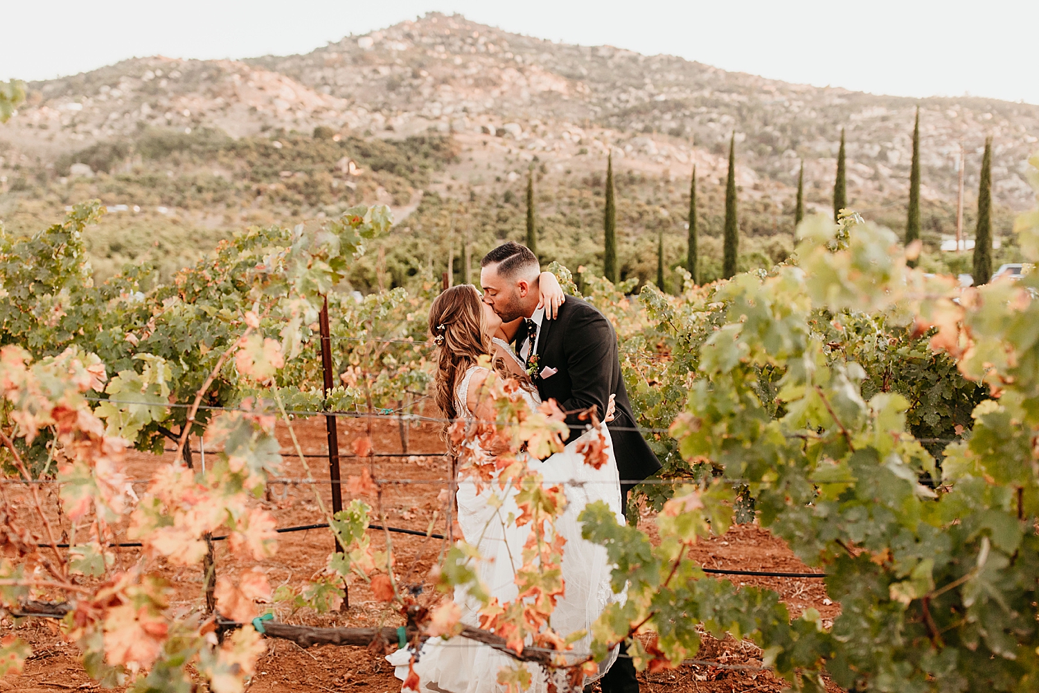 Cordiano-Winery-Wedding-88.jpg