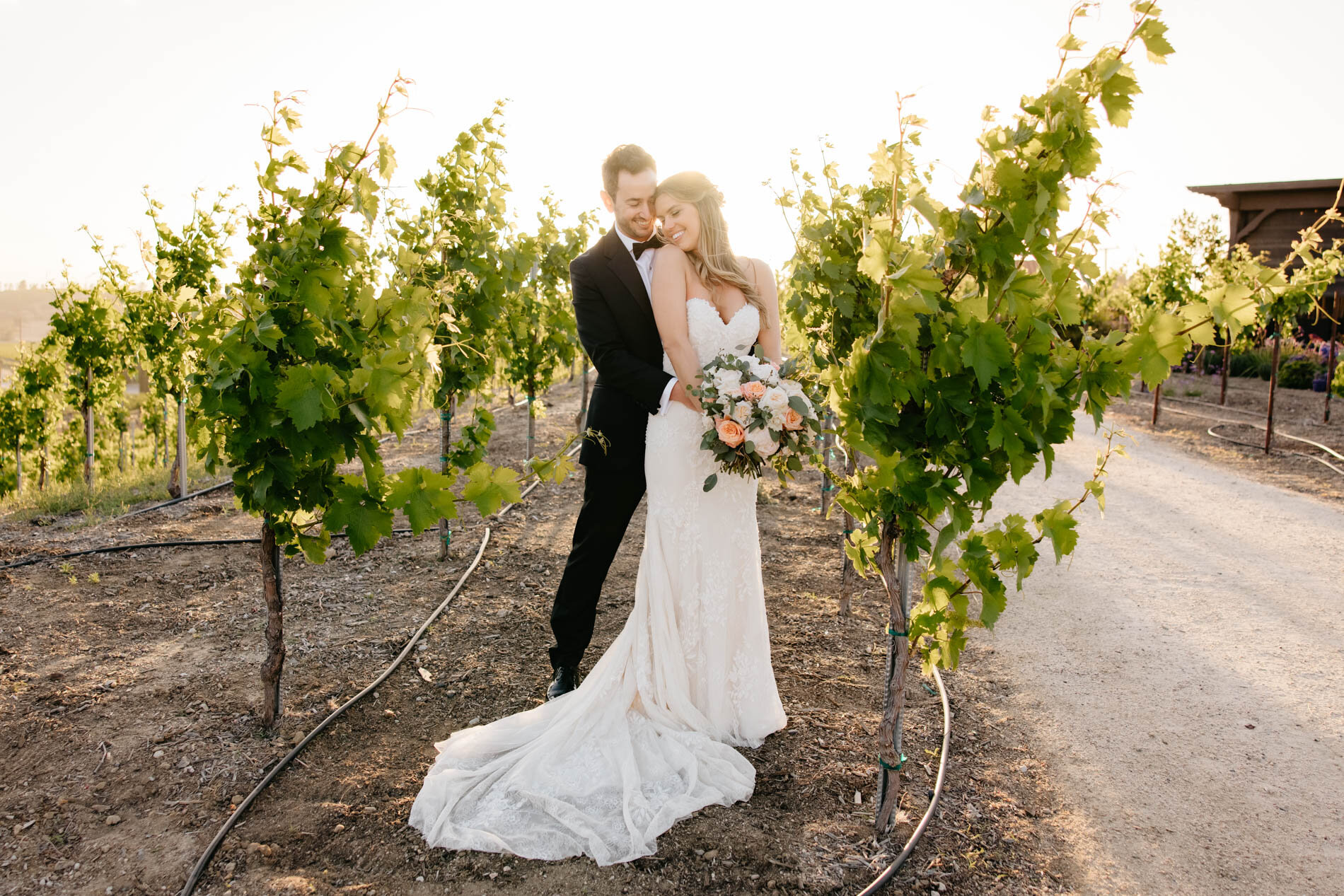 Avensole-Winery-Wedding-Temecula-92.jpg