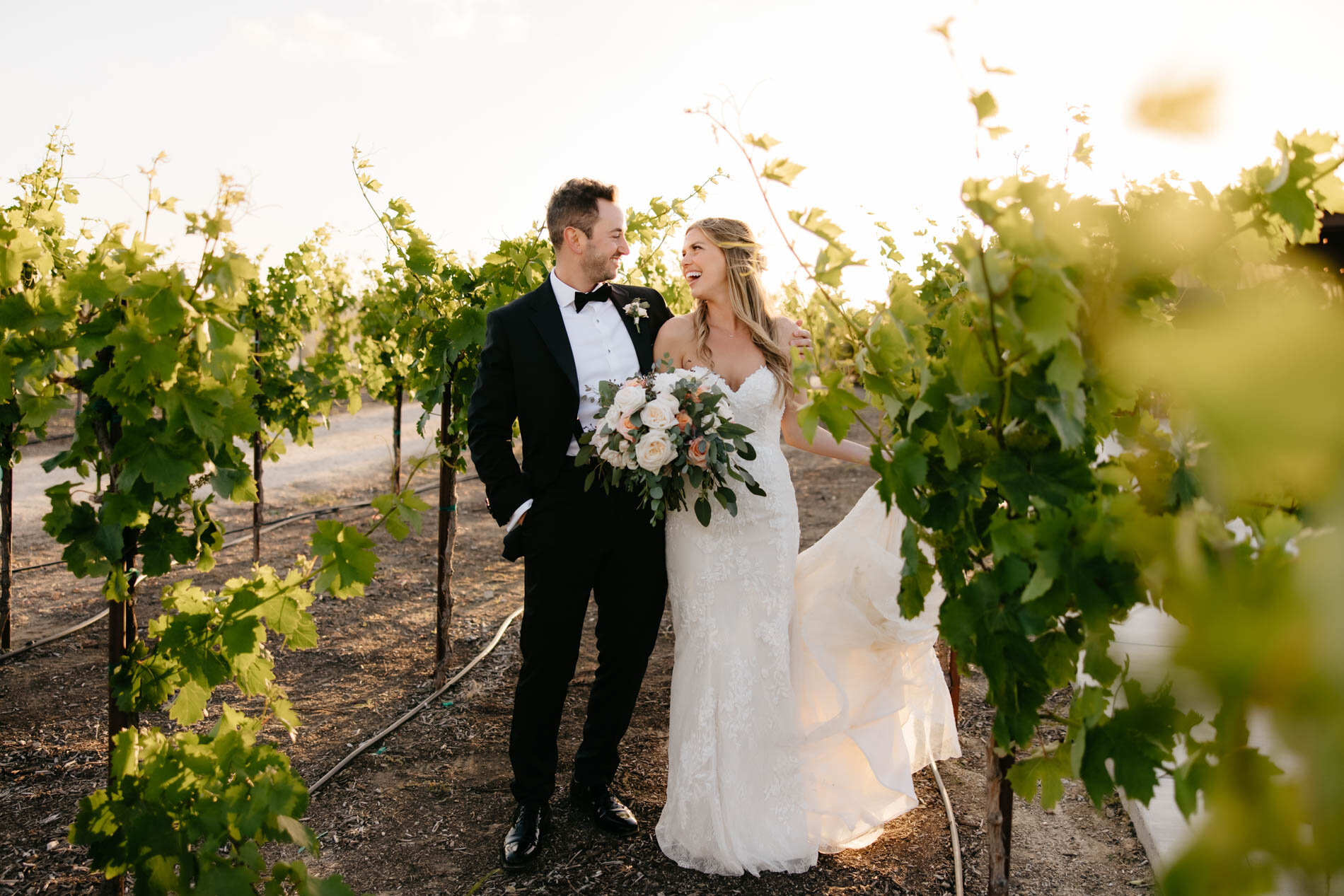 Avensole-Winery-Wedding-Temecula-93.jpg