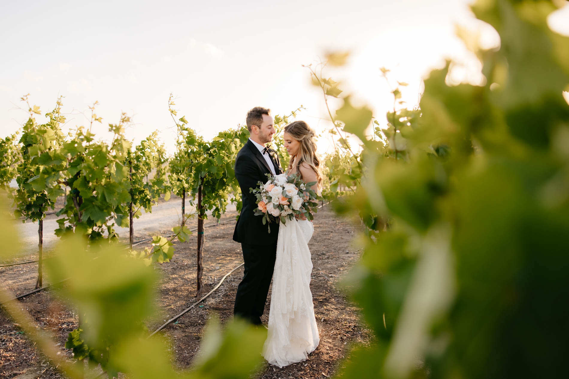 Avensole-Winery-Wedding-Temecula-96.jpg