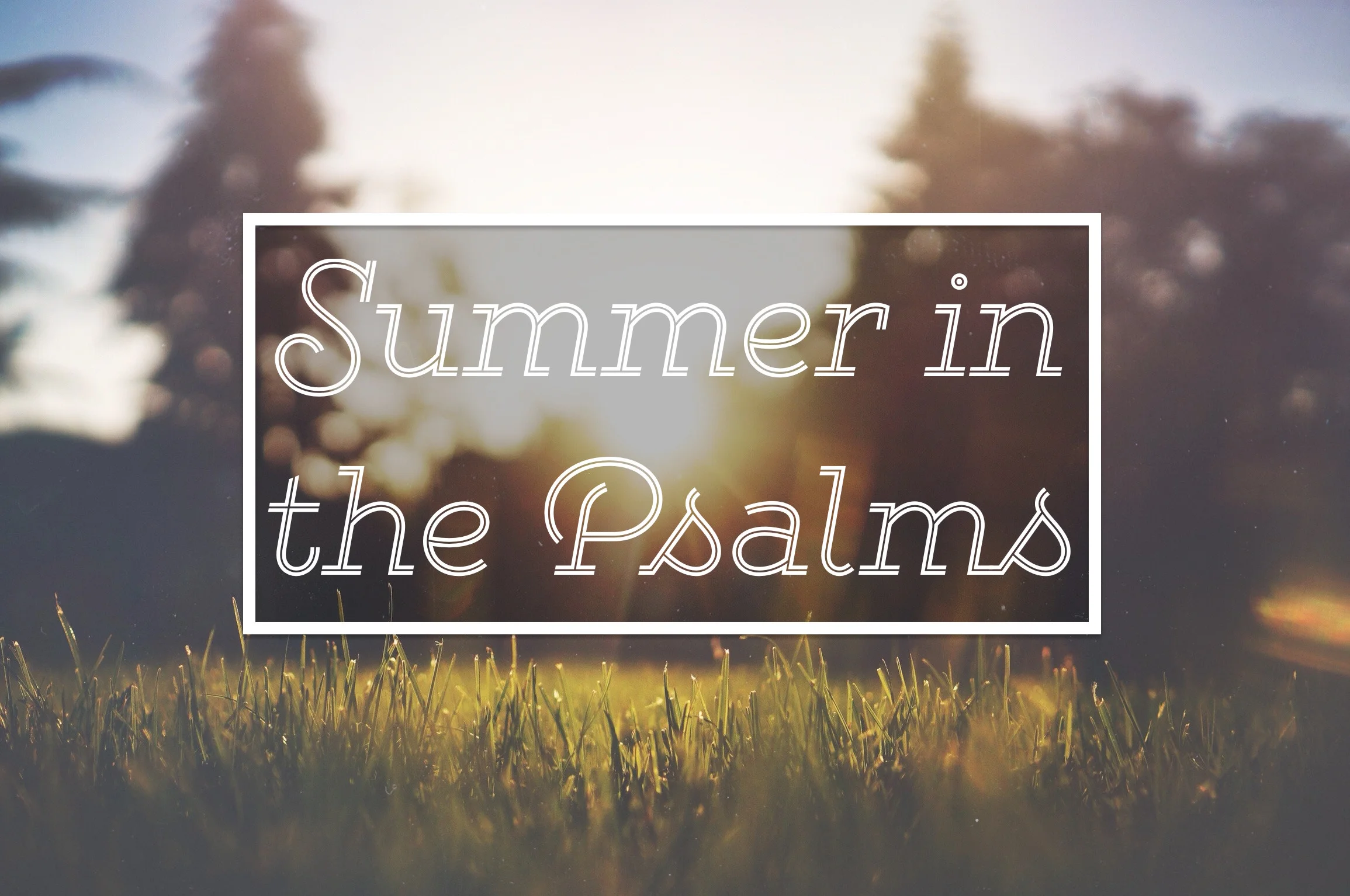 Summer in the Psalms.jpg